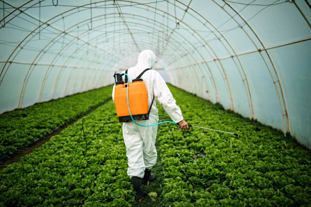 Best Bed Bug Extermination  in Farmingdale, NJ