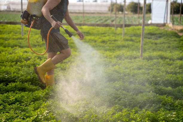 Best Pest Prevention Services  in Farmingdale, NJ