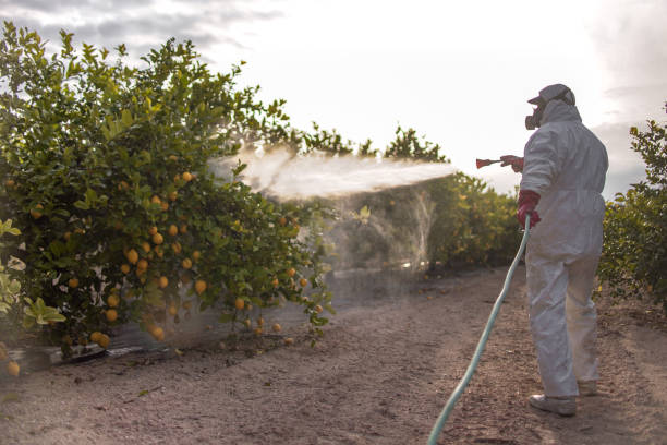 Pest Control Cost in Farmingdale, NJ