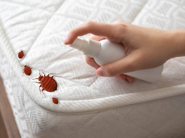 Best Mosquito Control Services  in Farmingdale, NJ