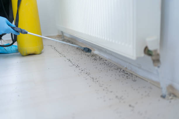 Professional Pest Control in Farmingdale, NJ
