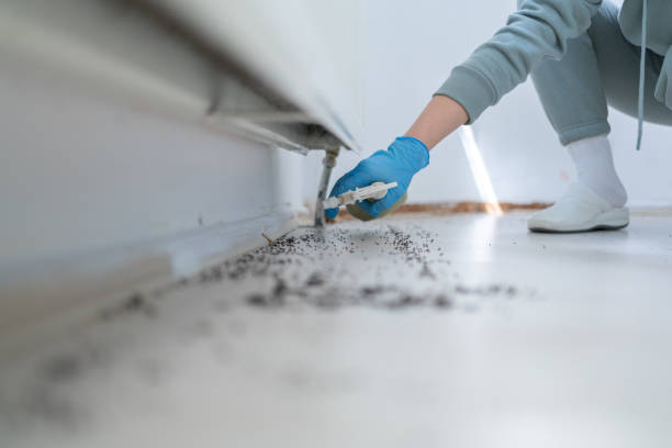 Best Flea Control Services  in Farmingdale, NJ